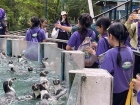 โครงการศึกษานอกสถานที่ “ป.4 : ท่องแดนมหัศจรรย์ในเขาเขียว” Image 66